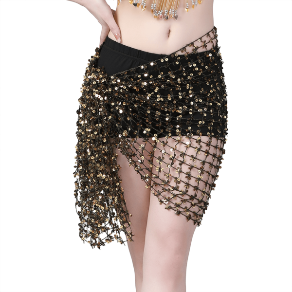 Belly Dance Sequin Hip Chain - Image 3